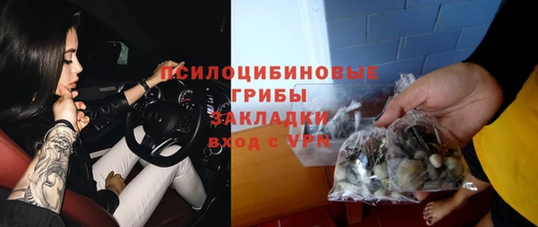 соль курить ск Белокуриха