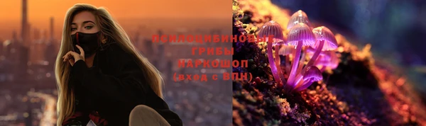 соль курить ск Белокуриха
