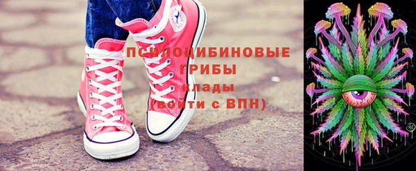 соль курить ск Белокуриха