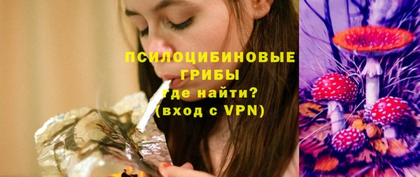 ПСИЛОЦИБИНОВЫЕ ГРИБЫ Беломорск