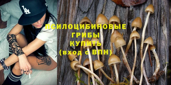 ПСИЛОЦИБИНОВЫЕ ГРИБЫ Беломорск