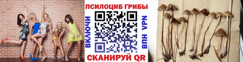Галлюциногенные грибы MAGIC MUSHROOMS Бутурлиновка