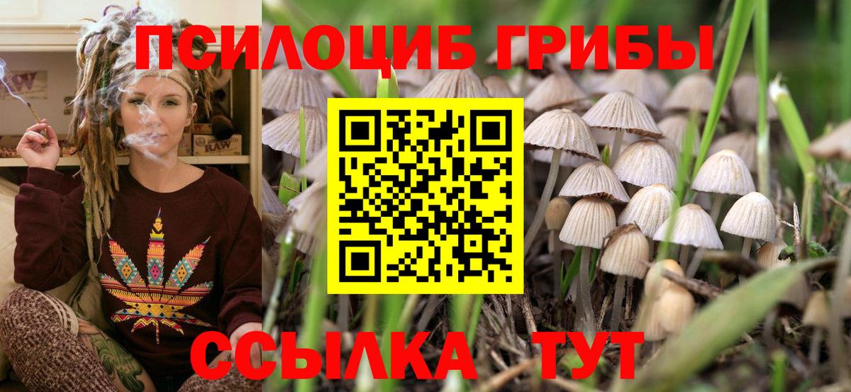 Бутурлиновка  Псилоцибиновые грибы Cubensis  Галлюциногенные грибы прущие грибы  Вход с VPN 