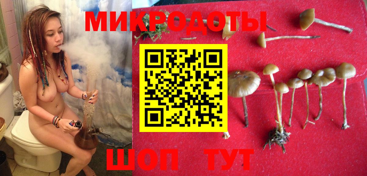 Псилоцибиновые грибы ЛСД Бутурлиновка